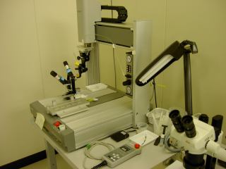 2001-06-01 00:00:00