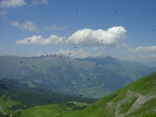 2004-08-03 14:04:02