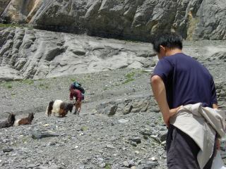 2001-06-01 00:00:00