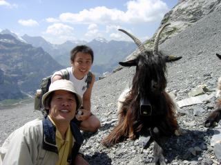 2001-06-01 00:00:00
