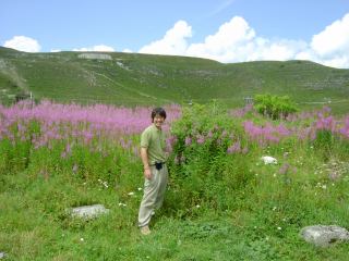 2001-06-01 00:00:00